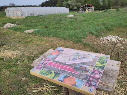 Les Serres Du Phénix, Primeur - Fruits Et Légumes à la Neuvelle-lès-Scey