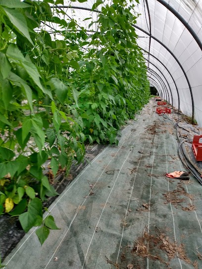 Ferme De St Maurice, Primeur Fruits et Légumes à Malaunay