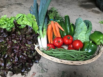 Maraîcher CHEMIN Jean-Pierre Lécousse, Primeur Fruits et Légumes à Lécousse