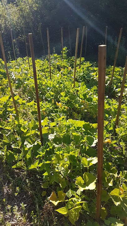 Fourches & Fourchettes, Primeur Fruits et Légumes à Veyrines-de-Vergt