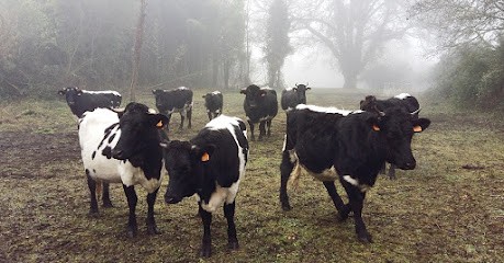 Domaine De Bagatelle, Primeur Fruits et Légumes à Léognan