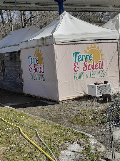 Terre Et Soleil, Primeur - Fruits Et Légumes à Cazaubon