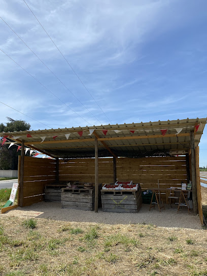 La Cabane De Morgane Primeur - Fruits Et Légumes à Saint-Just
