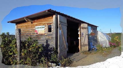 Jardin de Didier ÉTÉ, Primeur Fruits et Légumes à Saint-Georges-Lagricol