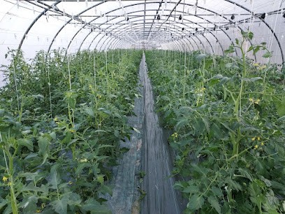 Paineau Alain, Primeur Fruits et Légumes à Vicq-sur-Gartempe