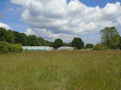 Les Jardins De Mederic, Primeur Fruits et Légumes à Saint-Paul-lès-Dax