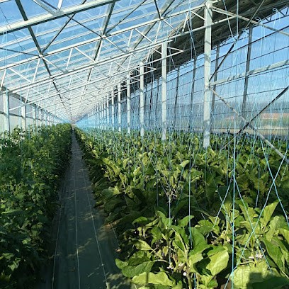 Les Vergers Des Grives, Primeur Fruits et Légumes à Pont-de-l'Isère