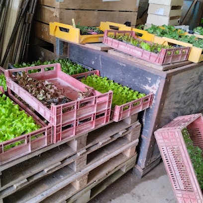 Earl Aubier, Primeur Fruits et Légumes à Guilly