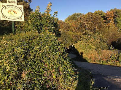 Clos Du Roi SCA, Primeur Fruits et Légumes à Saint-Ouen-l'Aumône