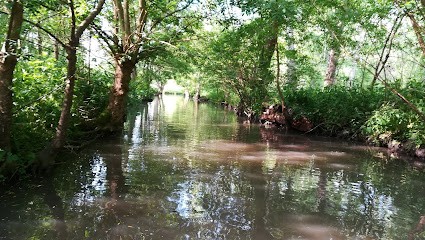 Marteau Didier, Primeur Fruits et Légumes à Coulon