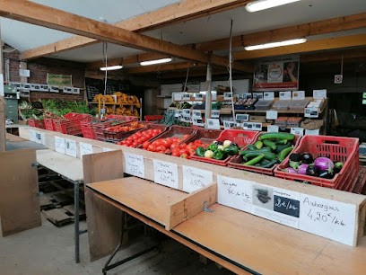 EARL Aux Jardins De Sacy, Primeur Fruits et Légumes à Sacy-le-Grand