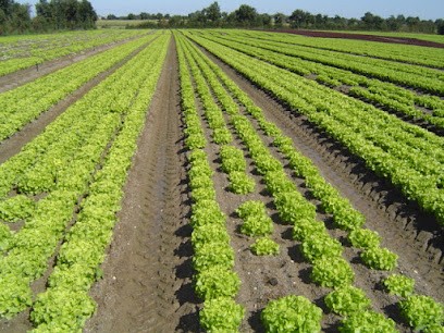 Les 3 Moulins, Primeur Fruits et Légumes à Saint-Philbert-de-Grand-Lieu