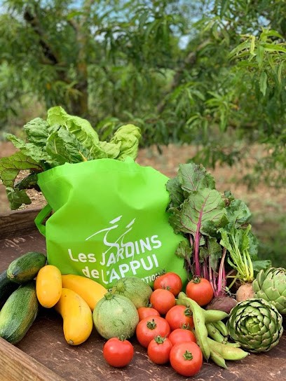 Les jardins de l'Appui, Primeur Fruits et Légumes à Saint-Georges-lès-Baillargeaux