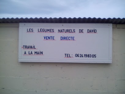 Les légumes naturels de David, Primeur Fruits et Légumes à Vattetot-sur-Mer