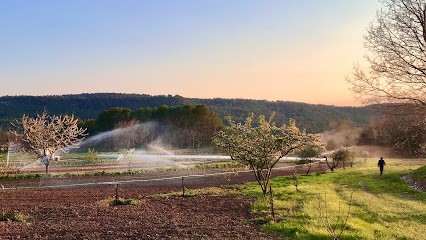 Ferme De La Plaine, Primeur Fruits et Légumes à Villecroze