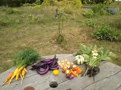 Ô Potager Du P'tit Paul, Primeur Fruits et Légumes à Mas-Saintes-Puelles