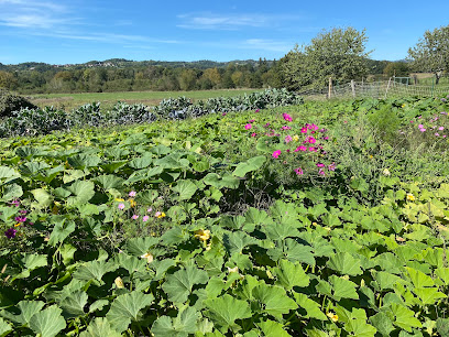 Le Marais De Gagnac, Primeur - Fruits Et Légumes à Gagnac-sur-Cère