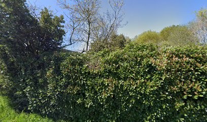 Les Jardins Butéo, Primeur Fruits et Légumes à Erbray
