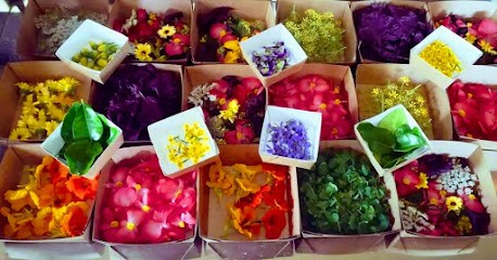 Les Jardins De L'instant Végétal, Primeur Fruits et Légumes à Sainte-Croix