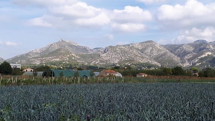 La Ferme des Roselières, Primeur Fruits et Légumes à Aubagne