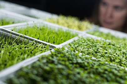 Ma Micropousse, Primeur Fruits et Légumes à Villiers-sous-Grez