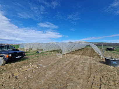 Ferme Des Baccarets, Primeur - Fruits Et Légumes à Cintegabelle