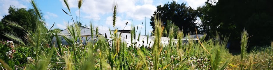 Les Paniers De Gillou, Primeur Fruits et Légumes à Sallaumines