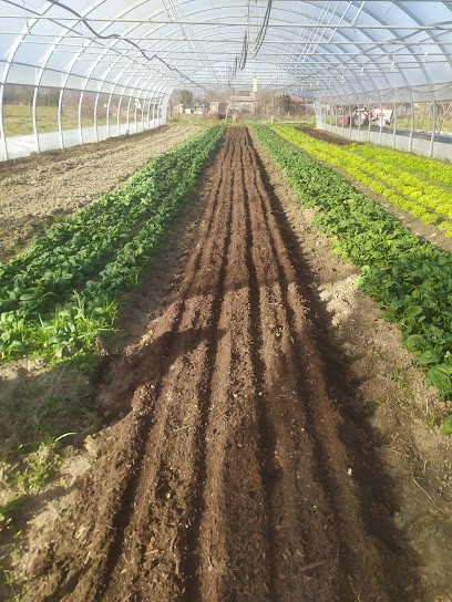 Le Potager De Chautagne, Primeur Fruits et Légumes à Serrières-en-Chautagne