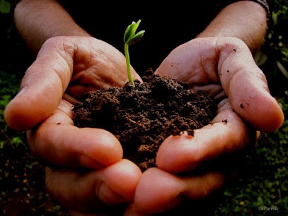 Le champ de la Grelinette, Primeur Fruits et Légumes à Pleslin-Trigavou