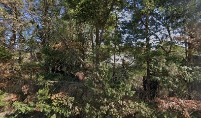 Le Potager De Geneviève, Primeur Fruits et Légumes à Saint-Nazaire