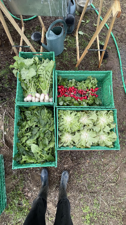 Les Jardins Des Capellas, Primeur - Fruits Et Légumes à Pamiers