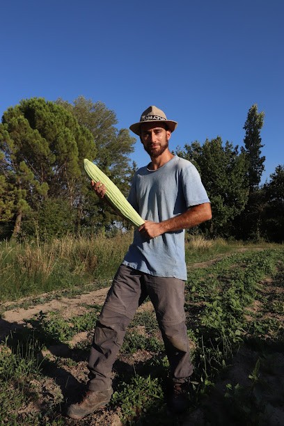 La Ferme De Grangeneuve, Primeur Fruits et Légumes à Orange