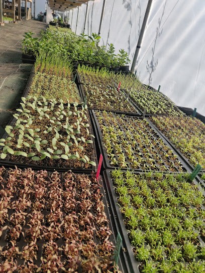 FERME DE LA VILLE BASSE, Primeur Fruits et Légumes à Mervans