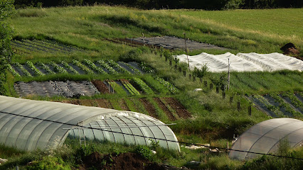 Les Jardins De La Roche, Primeur - Fruits Et Légumes à la Roche-des-Arnauds