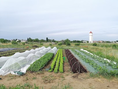 Les Jardins De Sandra, Primeur Fruits et Légumes à Saint-Claude-de-Diray