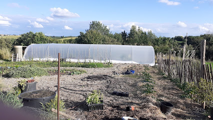 Canto Laoseto, Primeur - Fruits Et Légumes à Virac