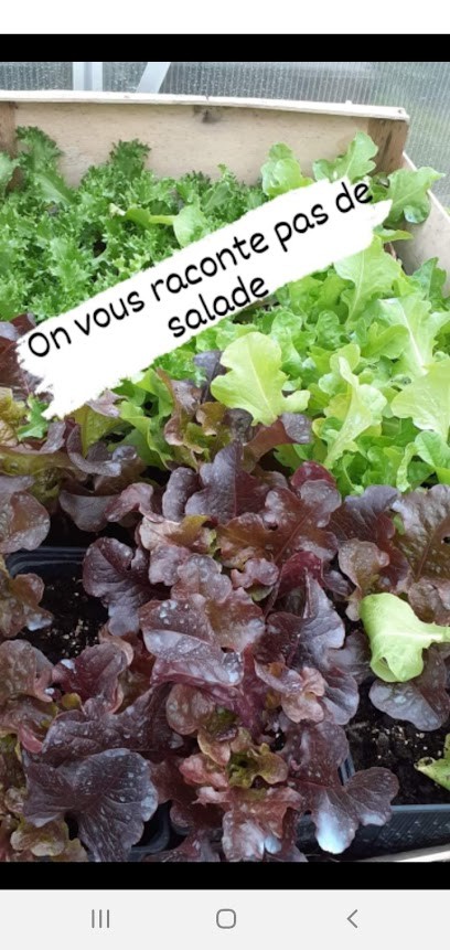 Le Verger De La Salanque, Primeur Fruits et Légumes à Saint-Laurent-de-la-Salanque