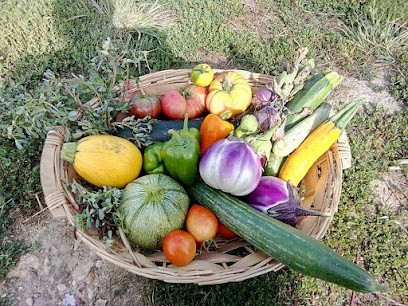 Serre les soupirs, Primeur Fruits et Légumes à Essômes-sur-Marne