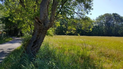 Au Pied De L'arbre, Primeur Fruits et Légumes à Saint-Étienne-de-Chigny