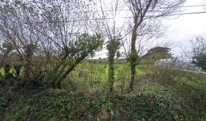 Thichamp, Primeur Fruits et Légumes à Plouguerneau