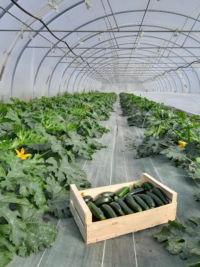 Paniers Bio - Des Métisses Au Jardin, Primeur Fruits et Légumes à Volx