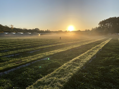 Cressonnière Barberon La Daubette, Primeur - Fruits Et Légumes au Mérévillois