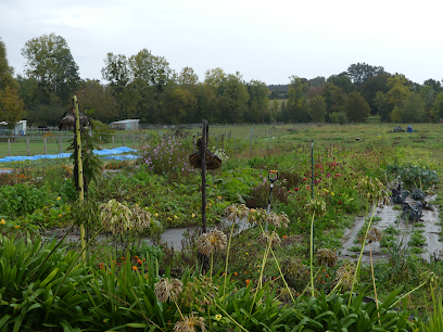 La Ferme De Coco, Primeur - Fruits Et Légumes à Noyen-sur-Sarthe