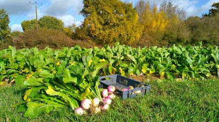 Les Légumes Bio De La Chaise Rouge, Primeur Fruits et Légumes à Ombrée d'Anjou