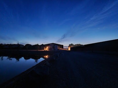 Pay D'andreux Earl, Primeur Fruits et Légumes à Saint-Philbert-de-Grand-Lieu