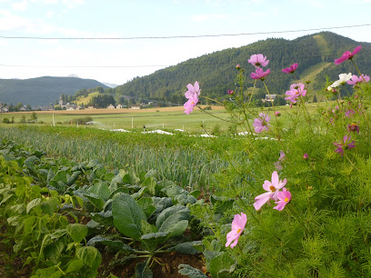 Jardin Des Îles, Primeur - Fruits Et Légumes à Autrans-Méaudre en Vercors