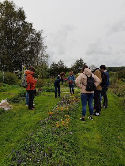 Des Herbes aux Fleurs productrice de Fleurs comestibles, Pousses et aromatiques atypiques, Primeur Fruits et Légumes à Sérent
