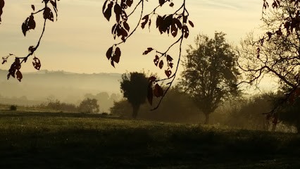 Herrmann, Primeur Fruits et Légumes à Bouxwiller