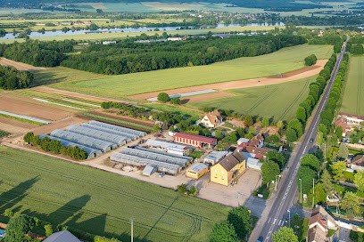 LEMARCHAND MARAICHERS SARL, Primeur Fruits et Légumes à Saint-Pierre-la-Garenne