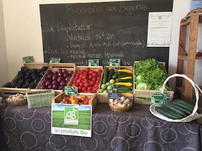 Exploitation des Brejottes, Primeur Fruits et Légumes à Quinçay